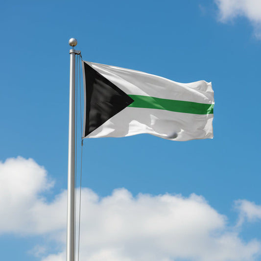 A demiromantic pride flag with black triangle pointing rightward from the left edge, with a white upper horizontal band, a green middle horizontal band, and a light gray lower horizontal band flying from a flagpole with a partly cloudy blue sky in the background