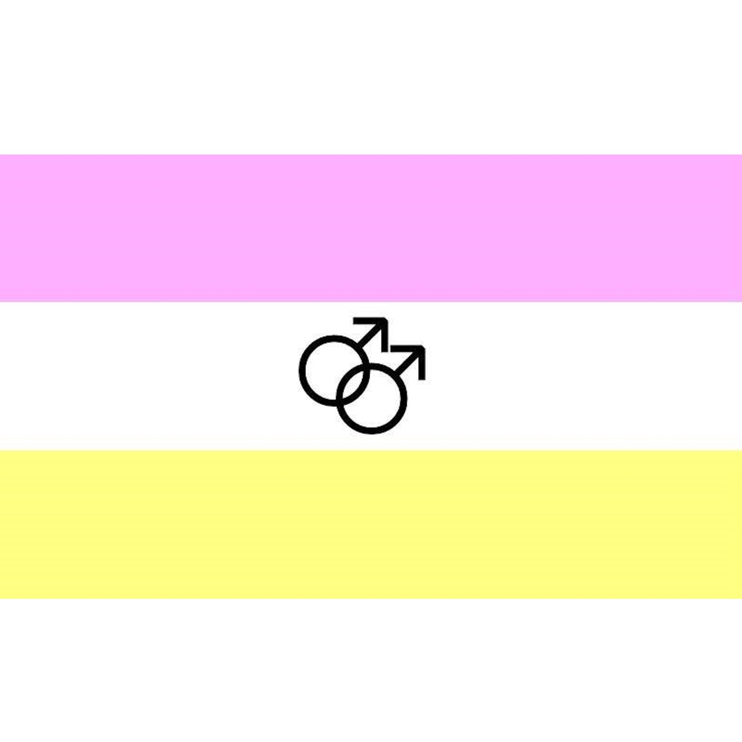 Twink Twunk Pride Flag - 3x5 Gay twink-twunk-pride-flag-3x5