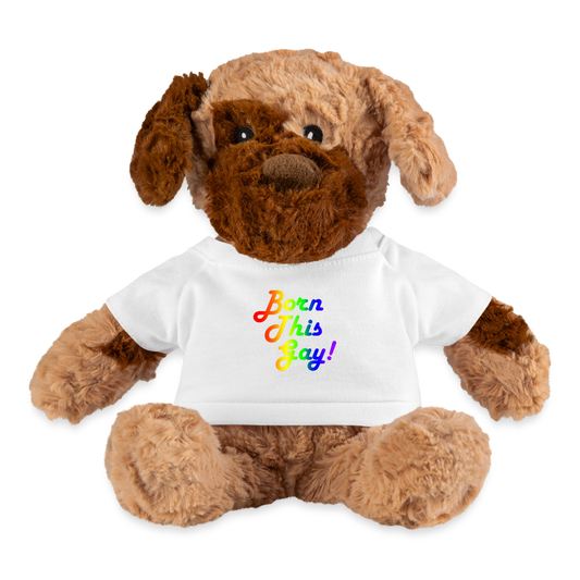 Brown teddy bear wearing a white t-shirt with 'born this gay' text on a transparent background