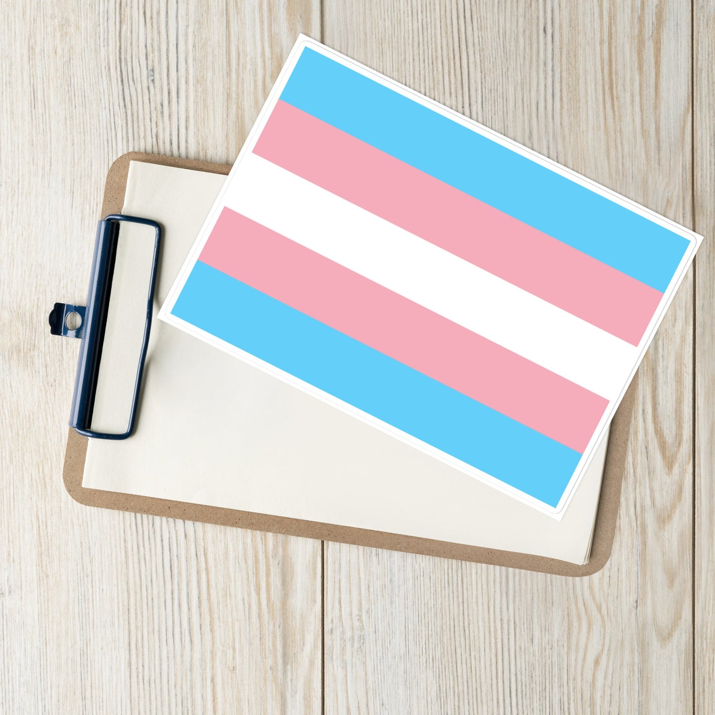 Transgender Trans Pride Flag Large Sticker transgender-trans-pride-flag-large-sticker-lifestyle Stickers