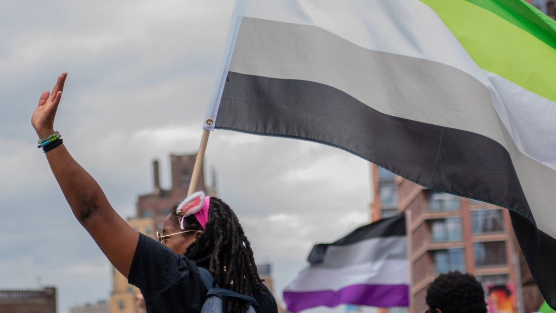 Celebrating Diversity: The History of Aromantic Spectrum Awareness Week - Pegasus Pride