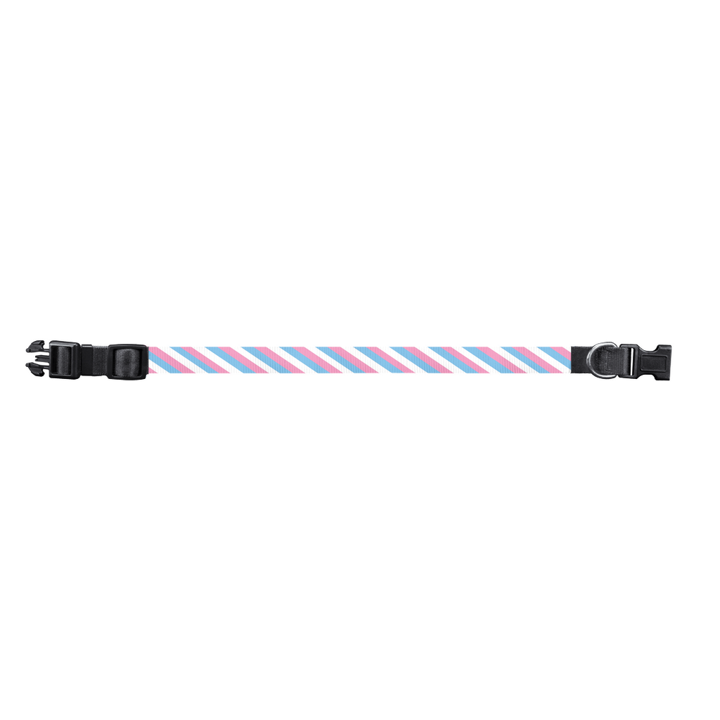 Transgender Trans Pride Pet Collar Small Transgender Multi 5f238d469ca85ff060e4e094ca3f71a3