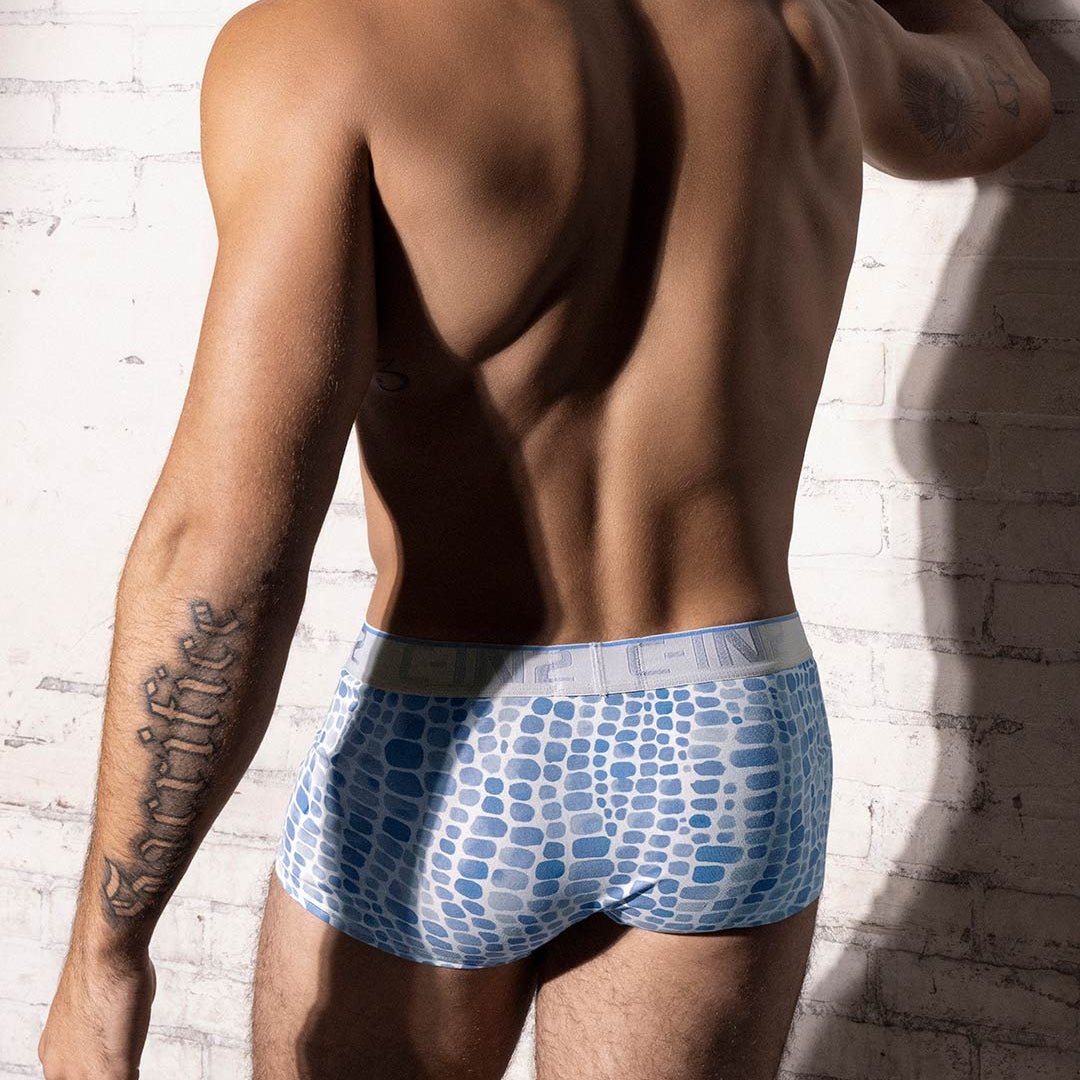 A man shown from behind wearing light blue and white patterned boxer briefs, posing against a white brick wall.