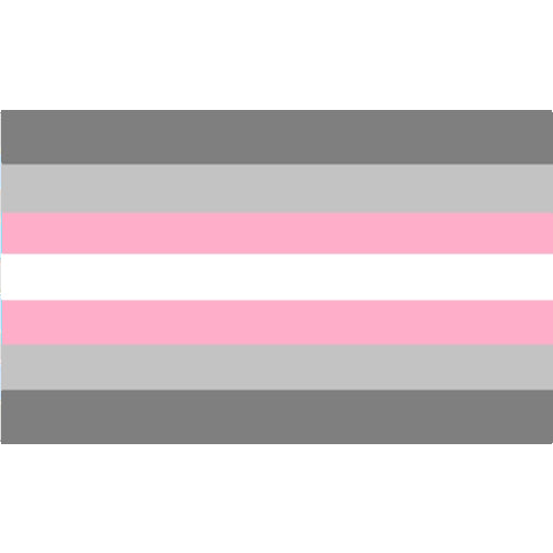 Demigirl Pride Flag 3x5 Demigirl 3x5 Demigirl-pride-flag