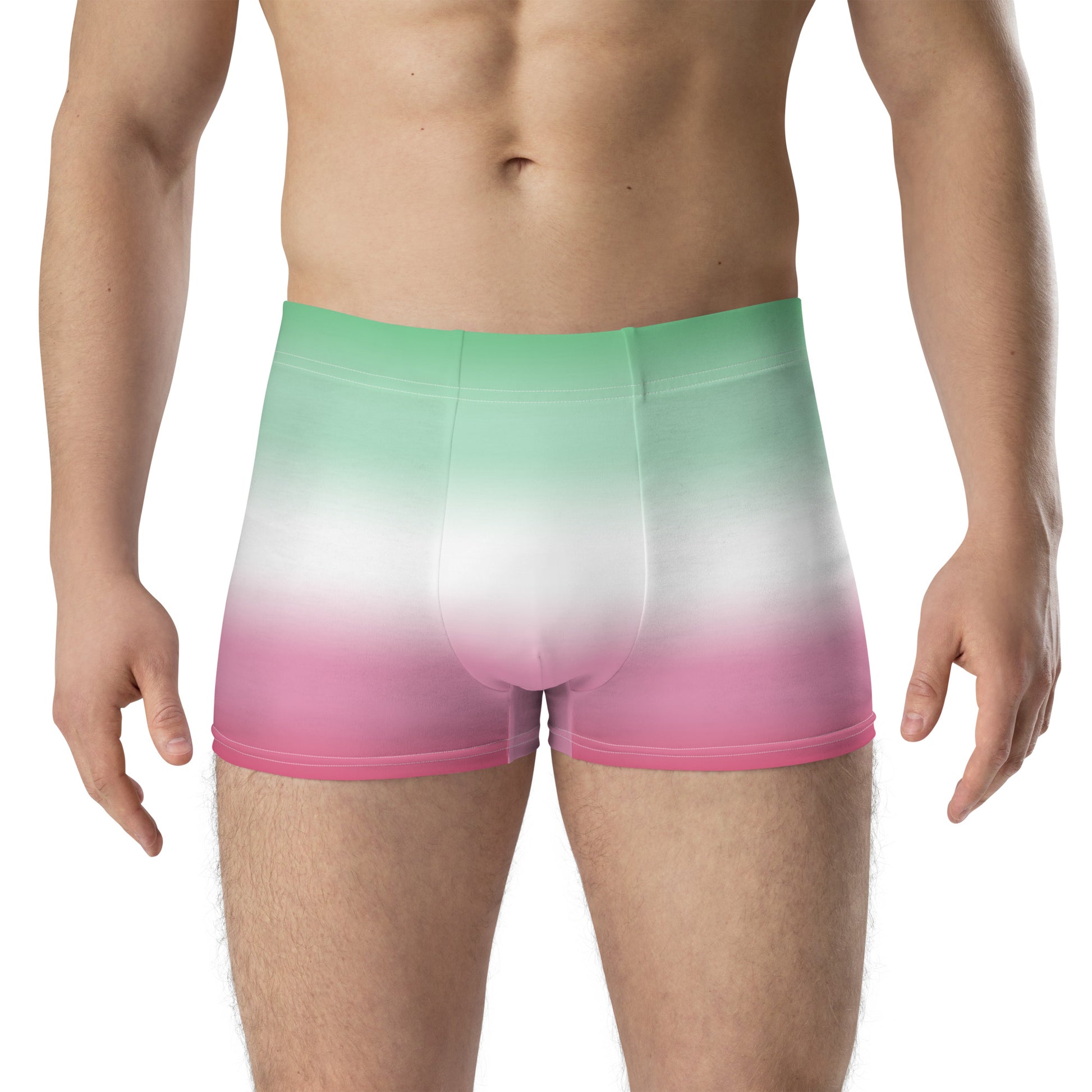 Abrosexual Pride Boxer Briefs Underwear all-over-print-boxer-briefs-white-front-655d1da91fd65