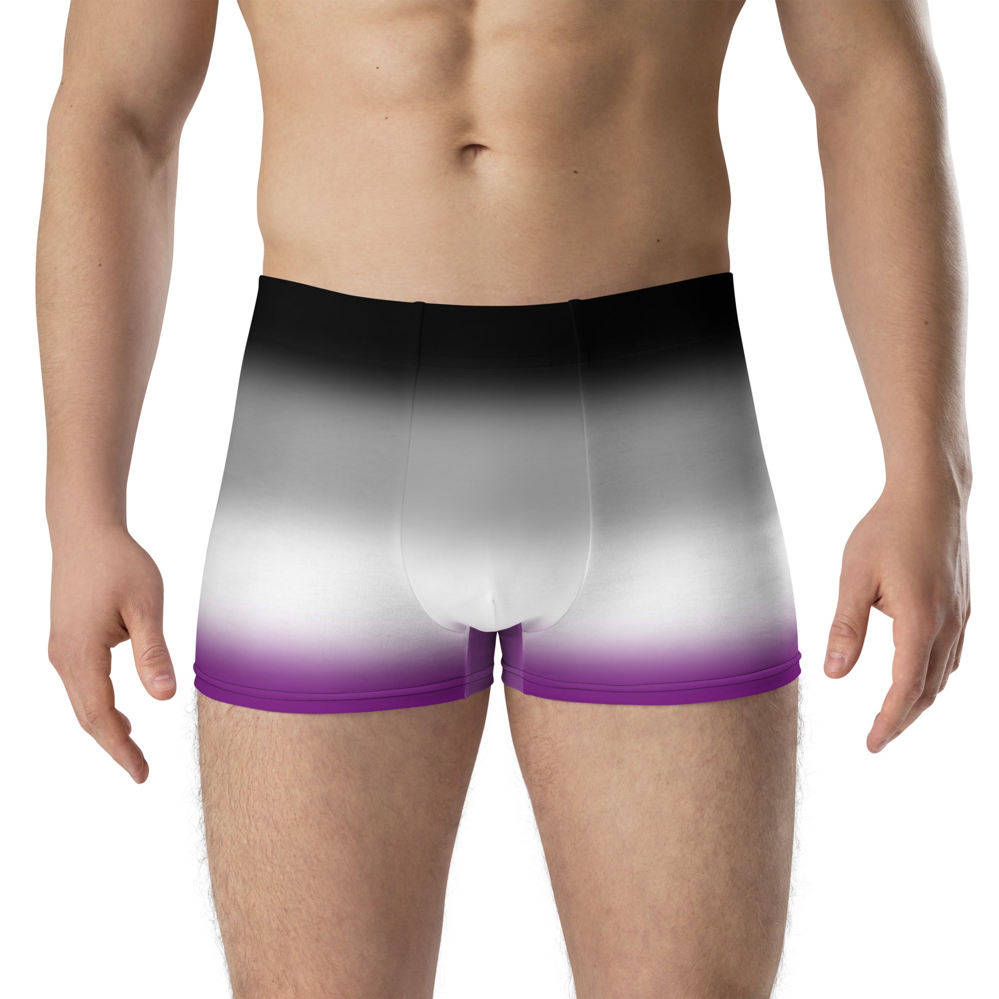 Asexual Ace Pride Boxer Briefs Underwear in Ombre all-over-print-boxer-briefs-white-front-655d1e536b507