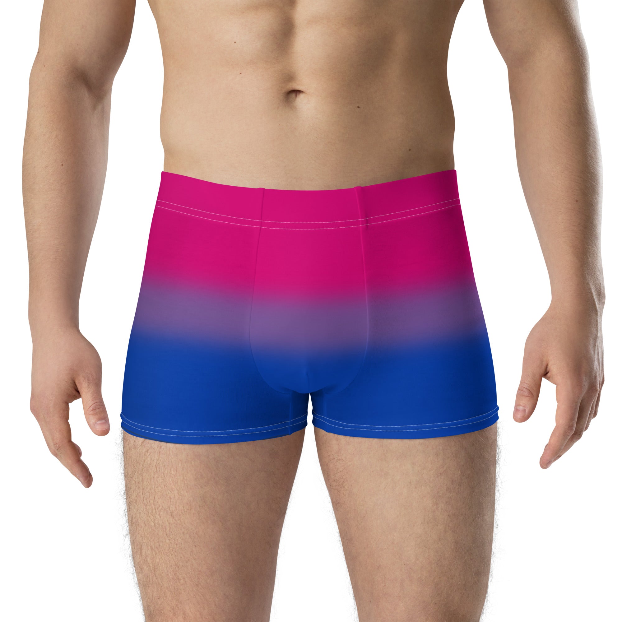 Bisexual Bi Pride Boxer Briefs Underwear in Ombre