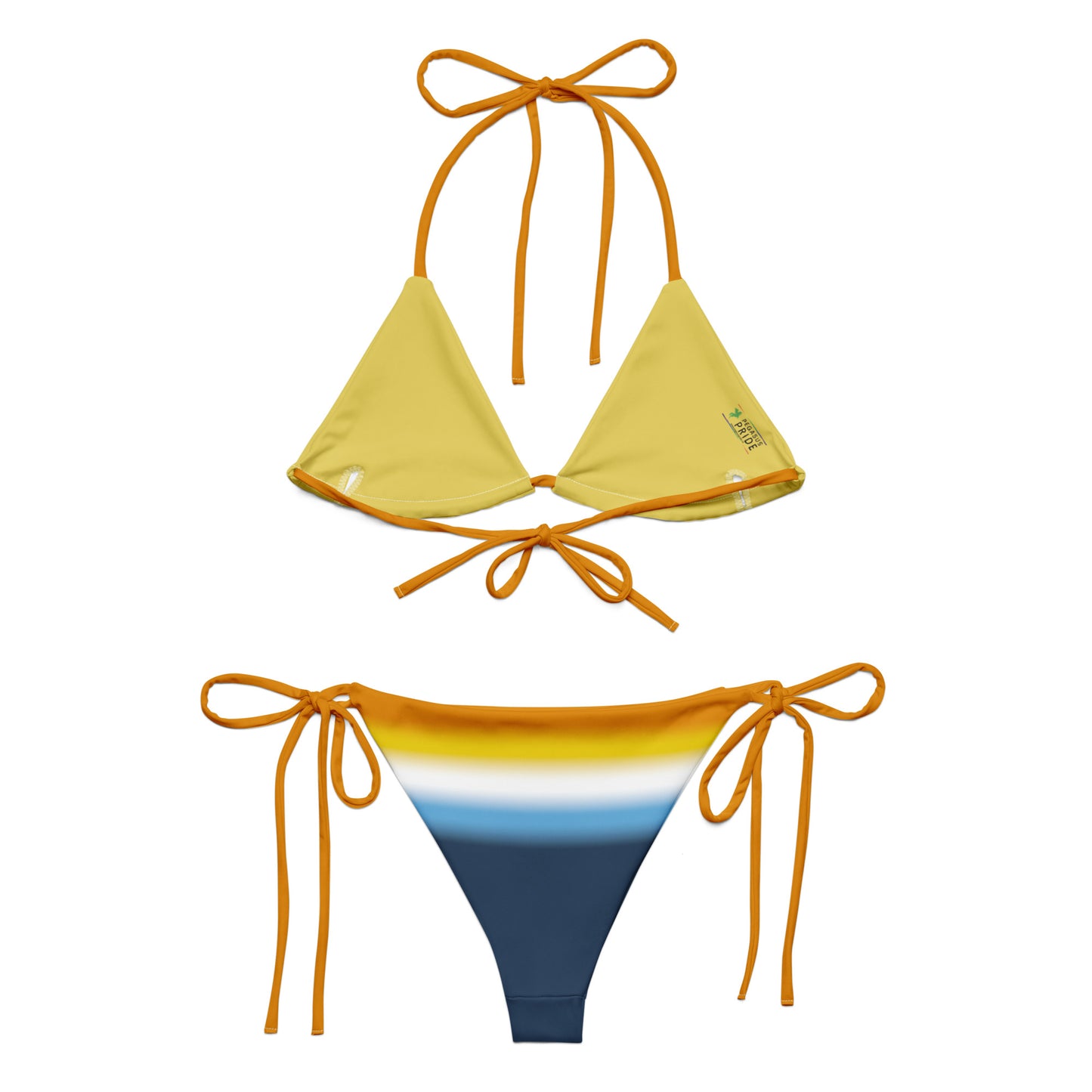 Aroace Pride String Bikini Set aroace-pride-string-bikini-set-back