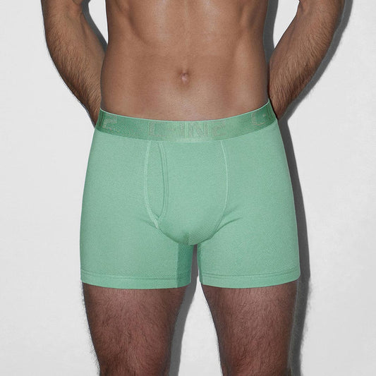 A man wearing mint green boxer briefs, shown from the chest down against a plain light gray background.