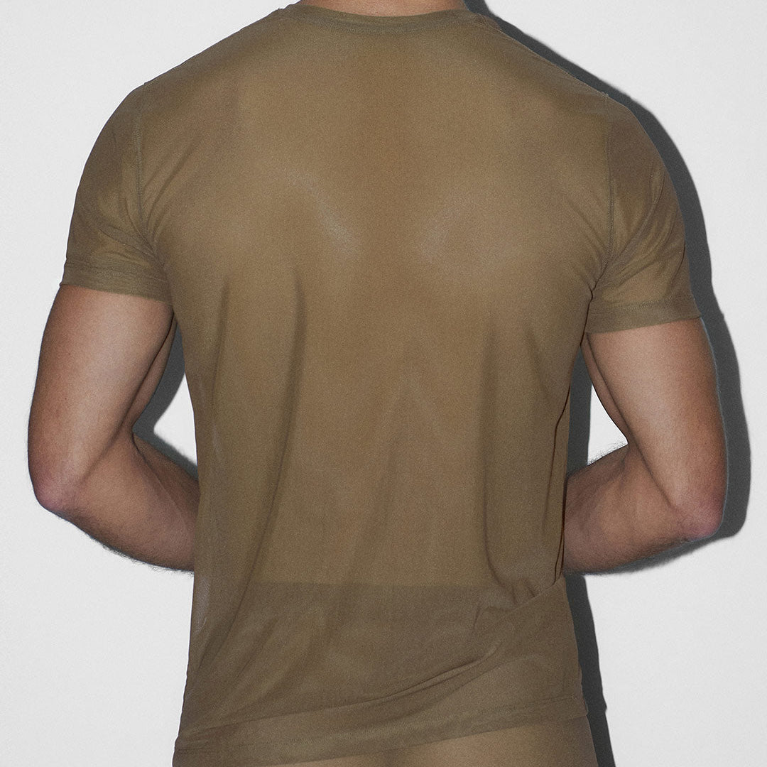 Person wearing a sheer brown t-shirt on a white background