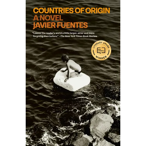 Book cover of 'Countries of Origin' by Javier Fuentes with a person on a rock in water.