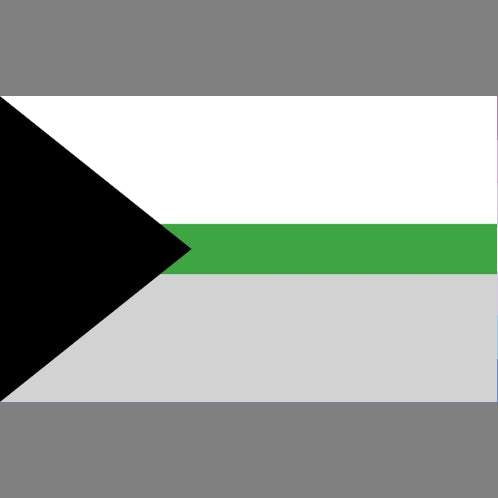 Demiromantic Pride Flag 3x5