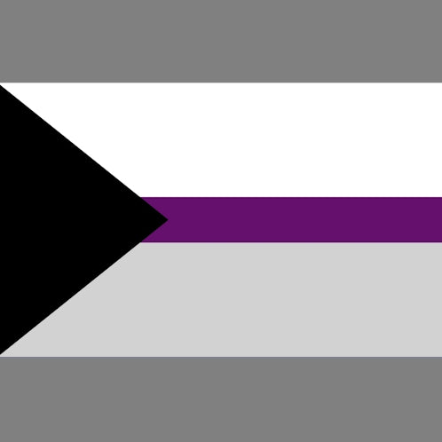 Demisexual Pride Flag 3x5 Demisexual 3x5 demisexual-pride-flag