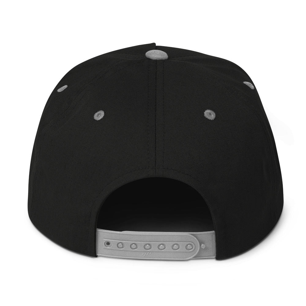 Greysexual Pride Embroidered Snapback Baseball Cap flat-bill-cap-black-grey-back-676a104057621