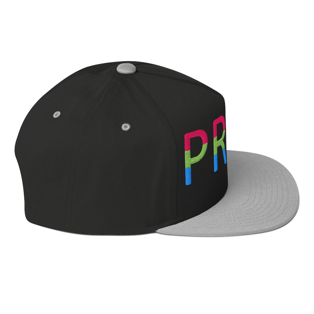 Polysexual Poly Pride Embroidered Snapback Baseball Cap flat-bill-cap-black-grey-right-side-676a0f9f91363