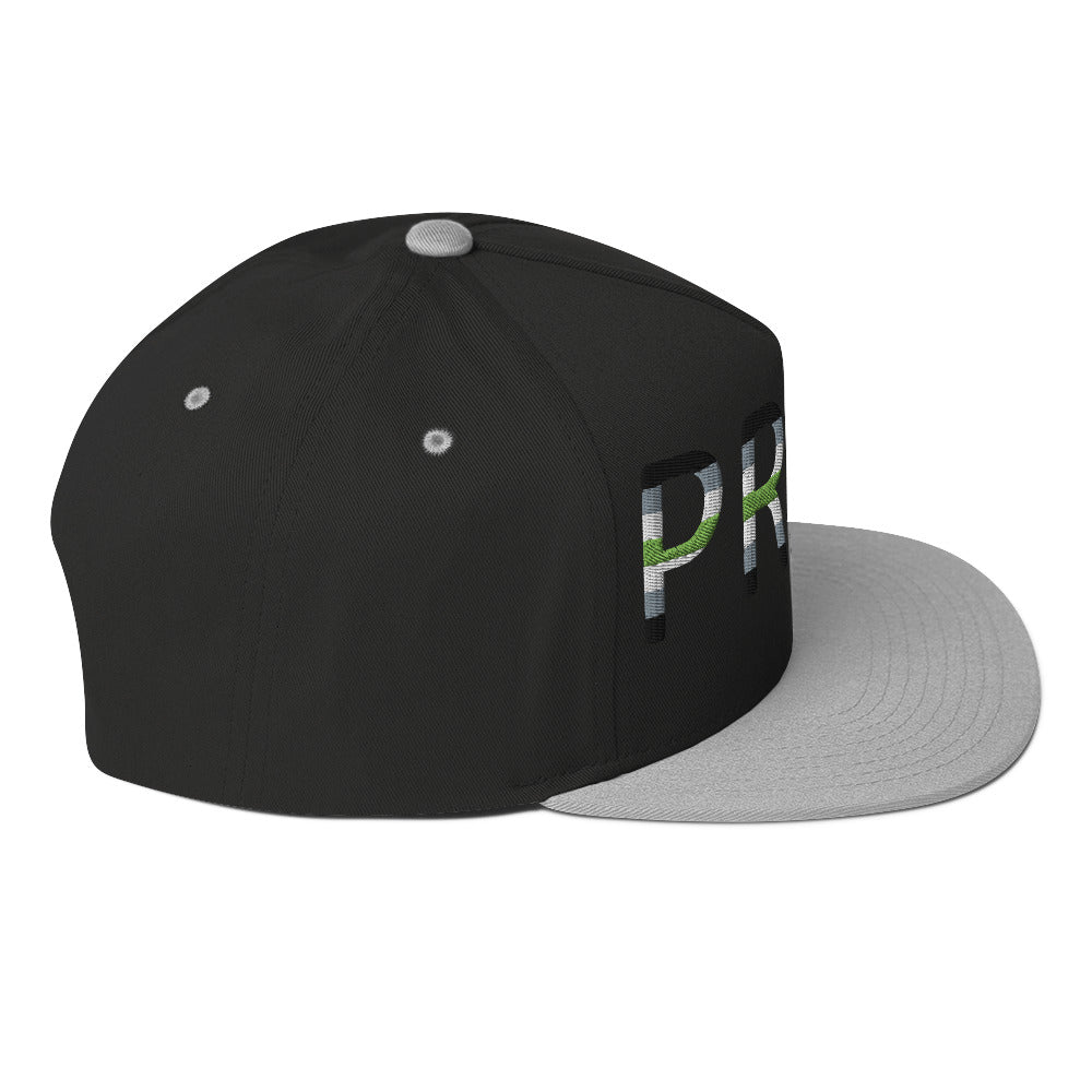 Agender Pride Embroidered Snapback Baseball Cap flat-bill-cap-black-grey-right-side-676a12c67b9ef