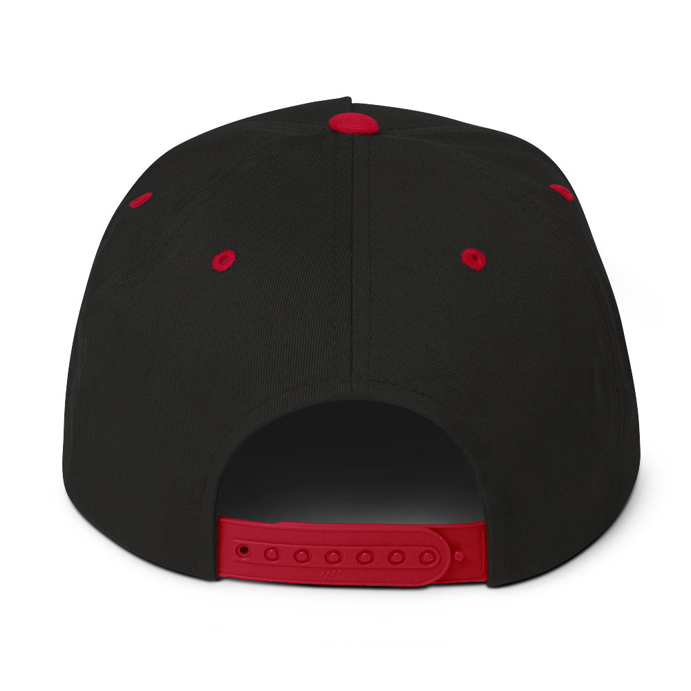 Proculsexual Pride Embroidered Snapback Baseball Cap flat-bill-cap-black-red-back-676a0d43882cc