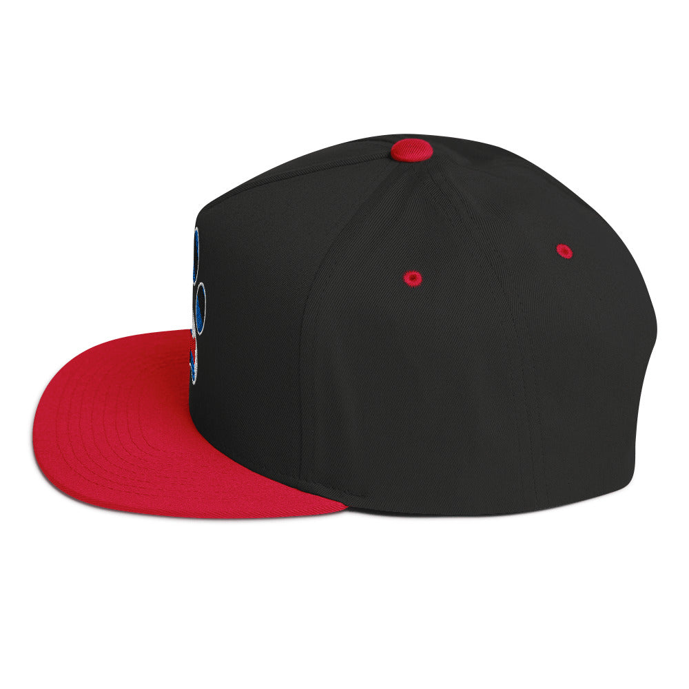 Puppy Pup Play Paw Embroidered Snapback Baseball Cap flat-bill-cap-black-red-left-side-676a21f52066f