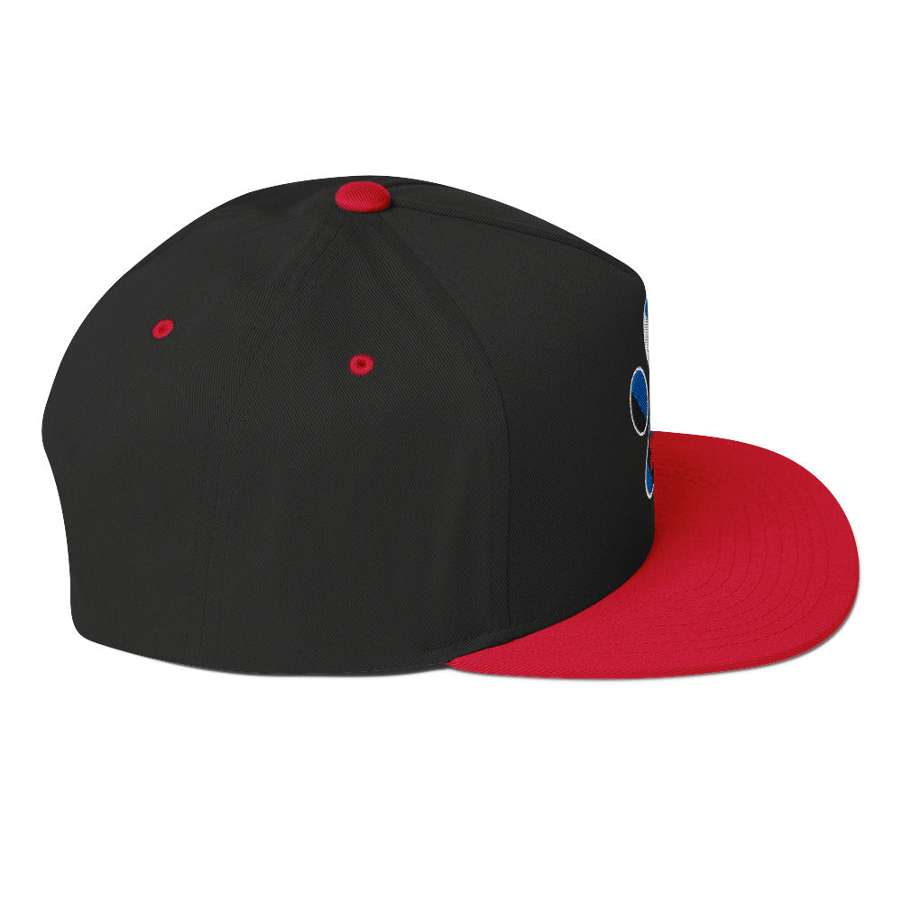 Puppy Pup Play Paw Embroidered Snapback Baseball Cap flat-bill-cap-black-red-right-side-676a21f5207d5