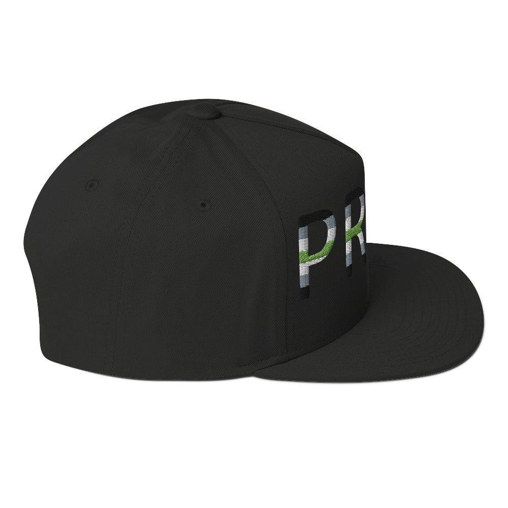 Agender Pride Embroidered Snapback Baseball Cap flat-bill-cap-black-right-side-676a12c67b280