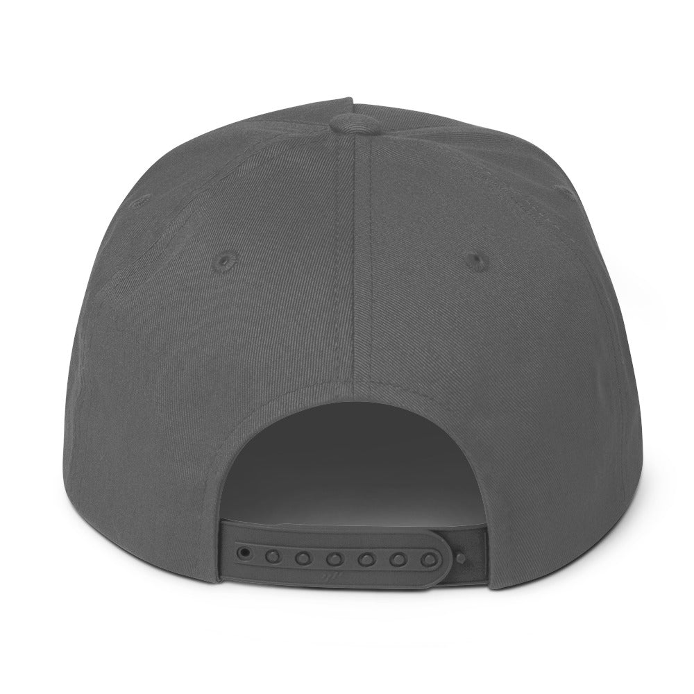 Greysexual Pride Embroidered Snapback Baseball Cap flat-bill-cap-grey-back-676a104057c57