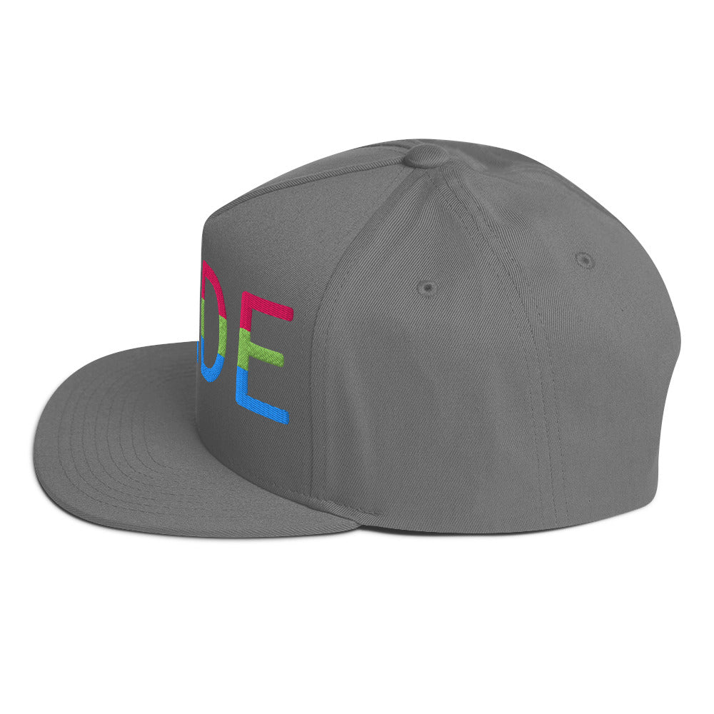 Polysexual Poly Pride Embroidered Snapback Baseball Cap flat-bill-cap-grey-left-side-676a0f9f91f21