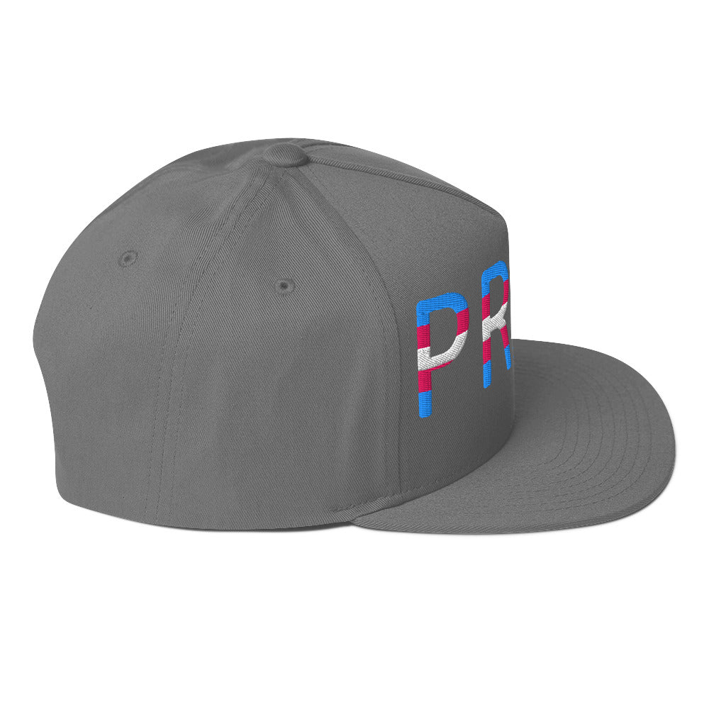 Transgender Trans Pride Embroidered Snapback Baseball Cap flat-bill-cap-grey-right-side-676a09d41fcdd