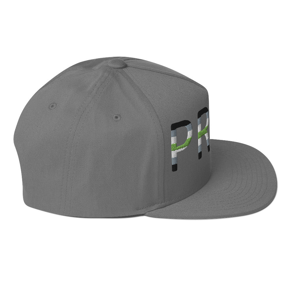 Agender Pride Embroidered Snapback Baseball Cap flat-bill-cap-grey-right-side-676a12c67c307