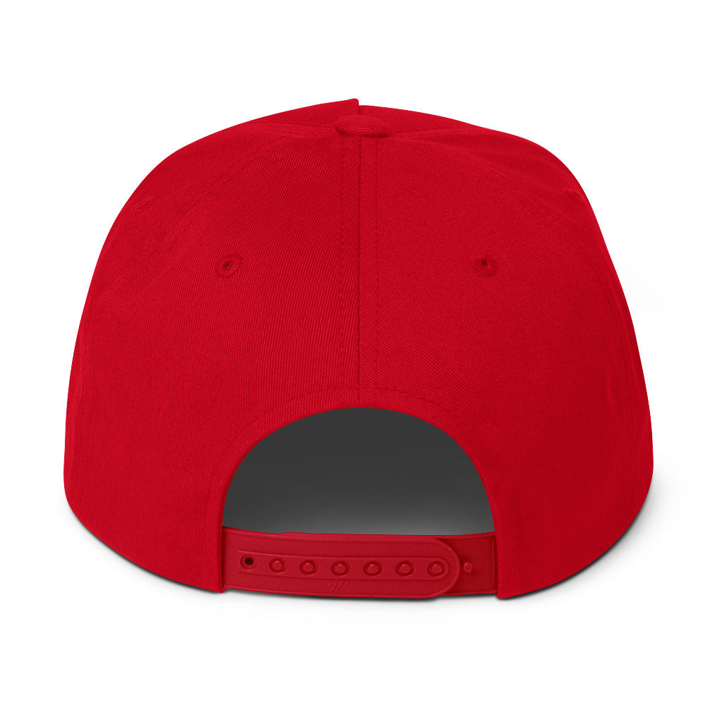 Proculsexual Pride Embroidered Snapback Baseball Cap flat-bill-cap-red-back-676a0d4388a85