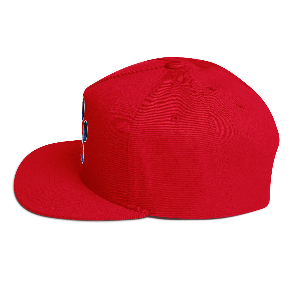 Puppy Pup Play Paw Embroidered Snapback Baseball Cap flat-bill-cap-red-left-side-676a21f521682