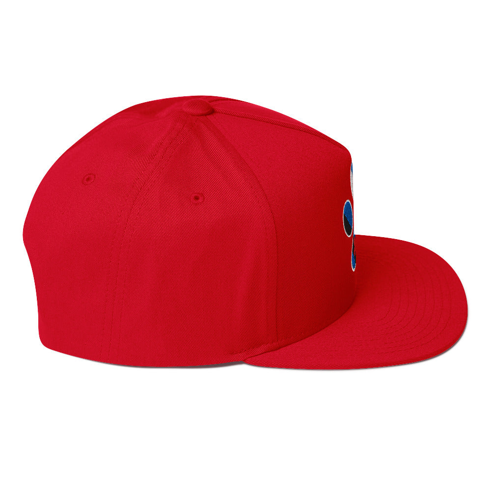 Puppy Pup Play Paw Embroidered Snapback Baseball Cap flat-bill-cap-red-right-side-676a21f521859