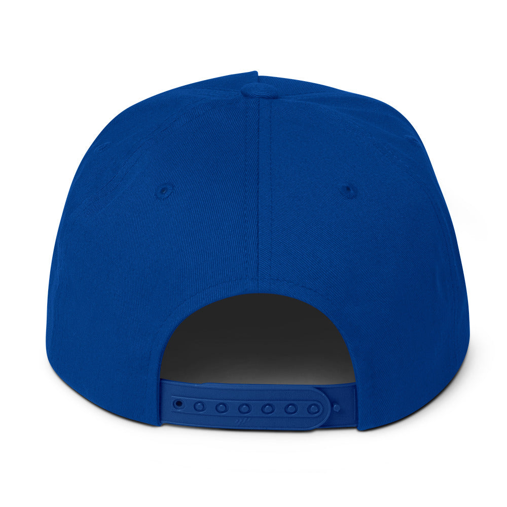 LGBTQ Pride Embroidered Snapback Baseball Cap flat-bill-cap-royal-blue-back-676a0f06e216b