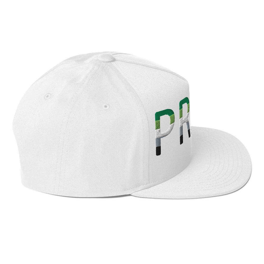 Aromantic Pride Embroidered Snapback Baseball Cap flat-bill-cap-white-right-side-676a11d5431ae