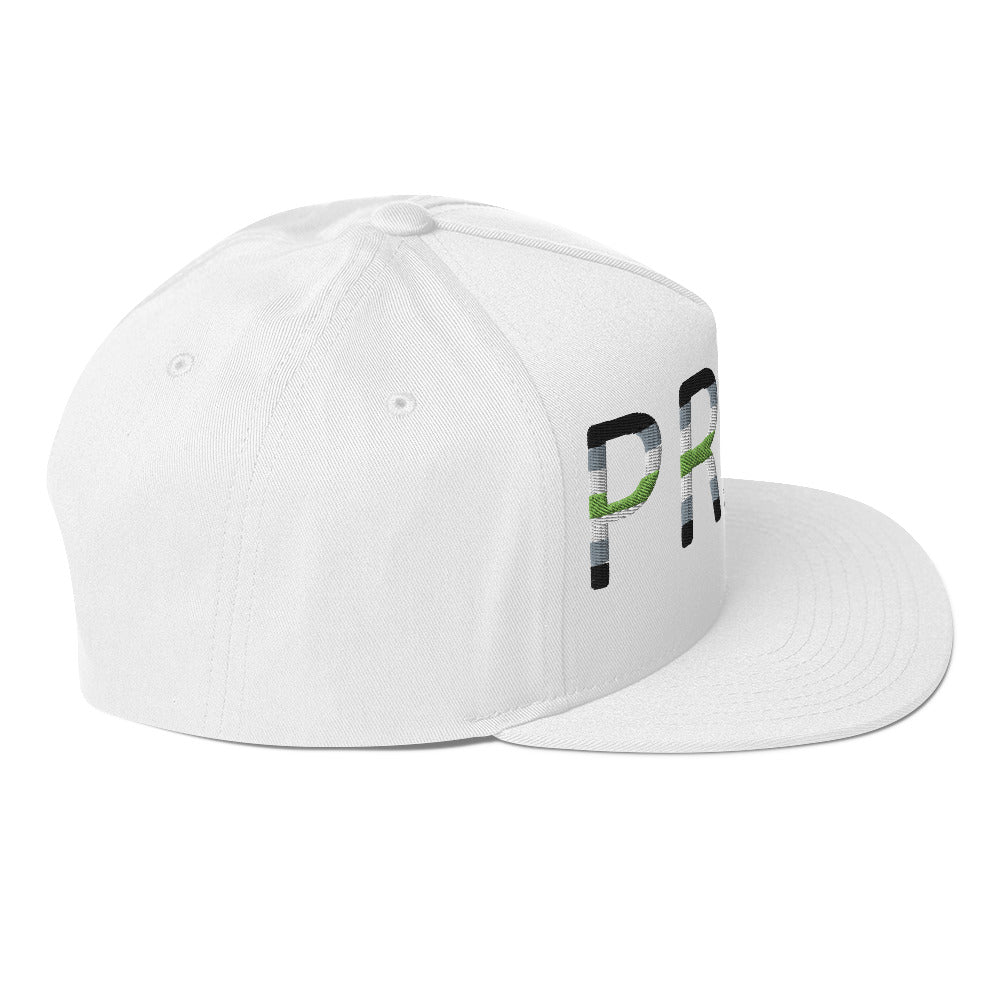 Agender Pride Embroidered Snapback Baseball Cap flat-bill-cap-white-right-side-676a12c67ca3f