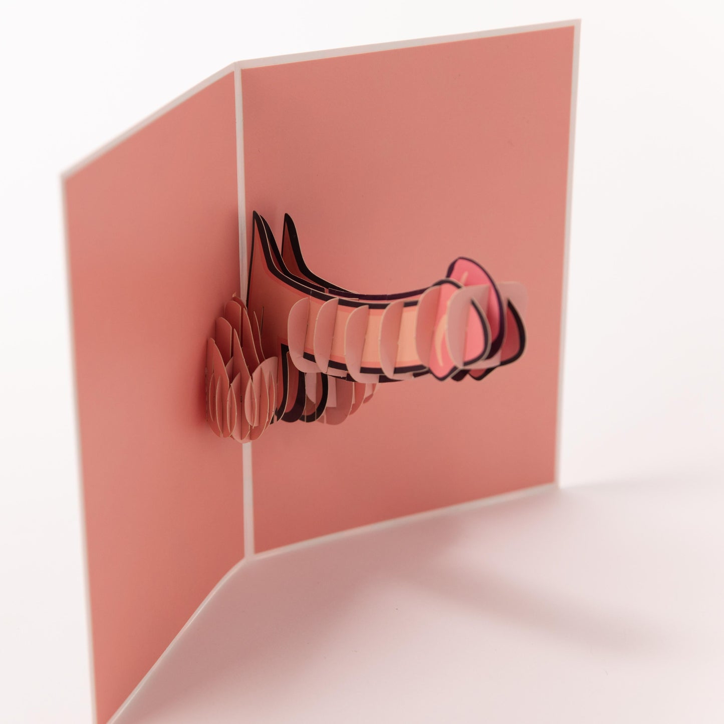 Happy Birthday, Dickhead - Pop Up Card happy-birthday-dickhead-pop-up-3d-card-printed-inside