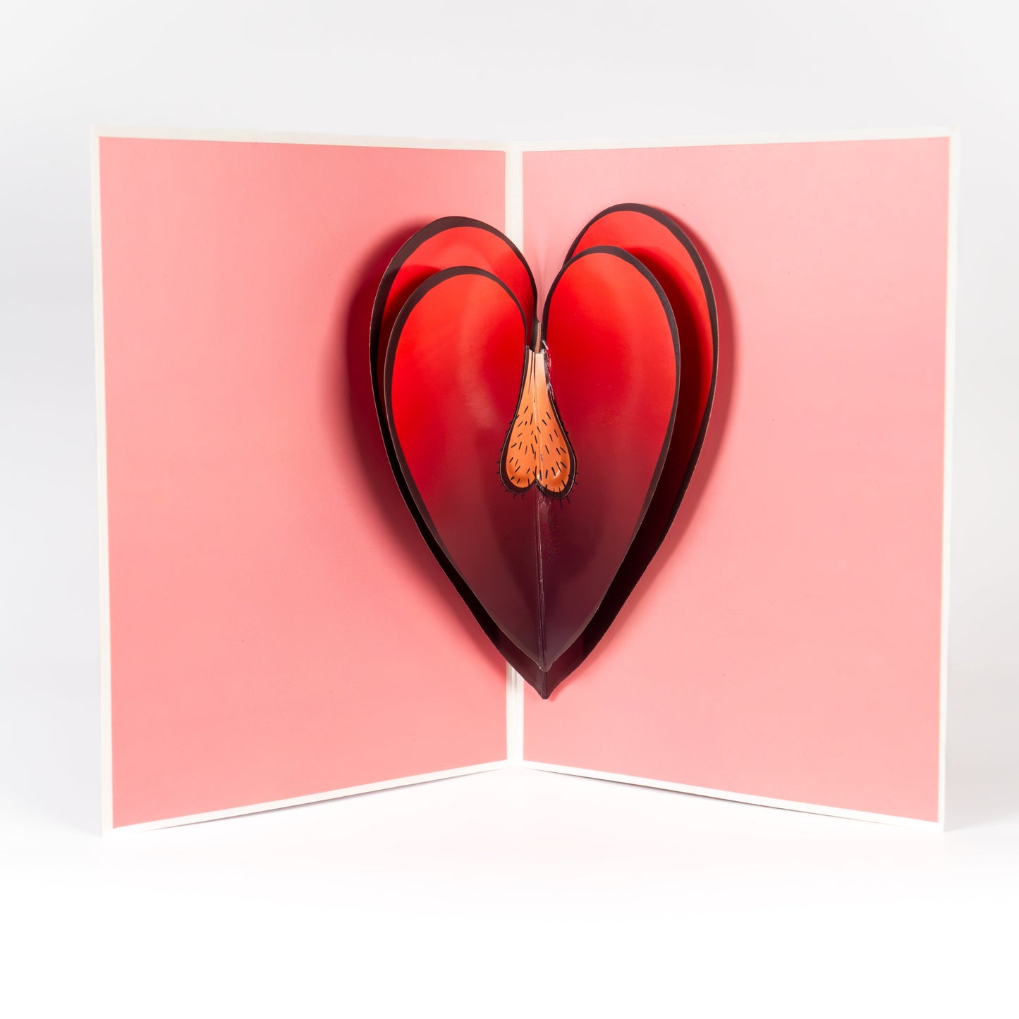 I'm Nuts About You Greeting Card - Pop Up im-nuts-about-you-greeting-card-pop-up-valentines-day-love-inside