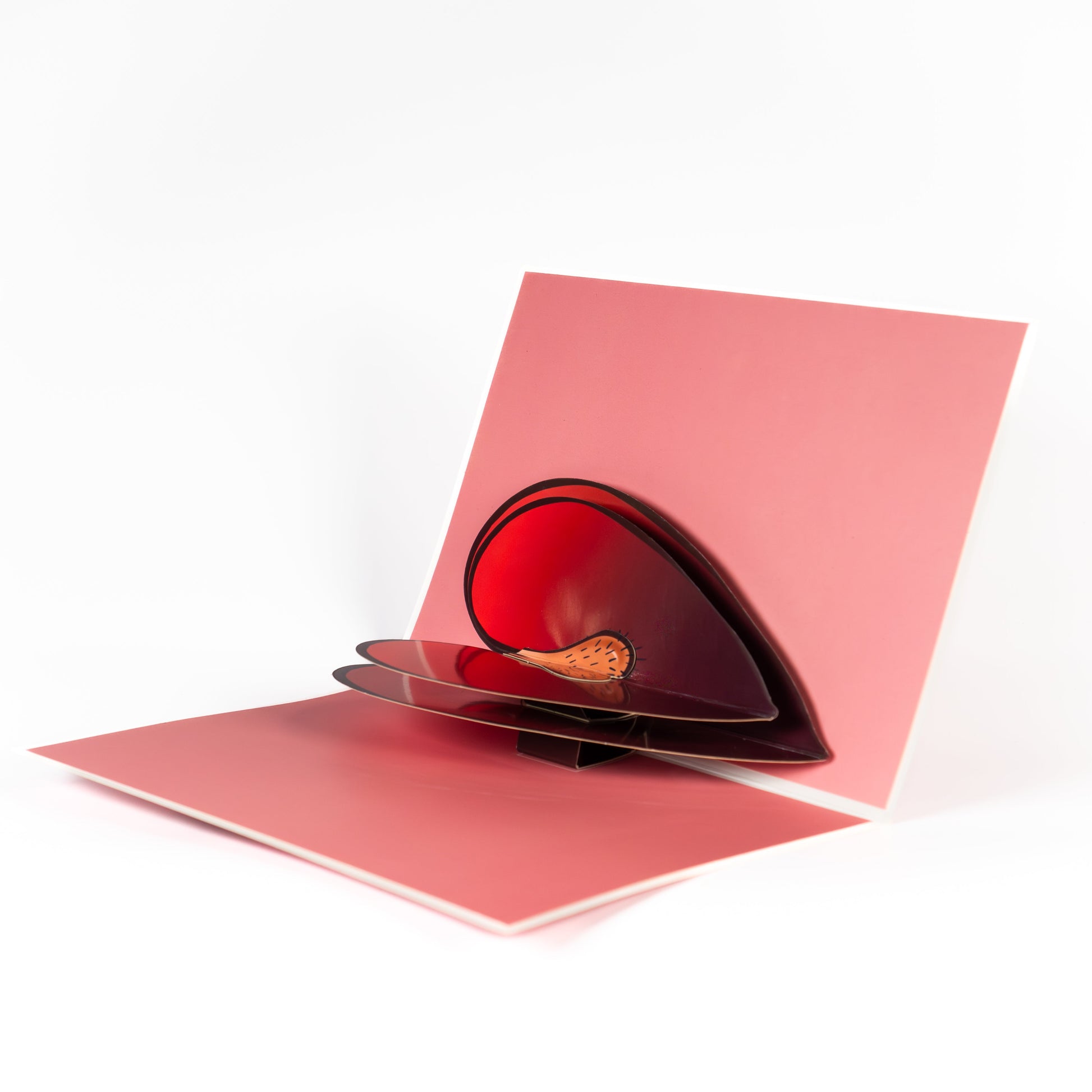 I'm Nuts About You Greeting Card - Pop Up im-nuts-about-you-greeting-card-pop-up-valentines-day-love-open