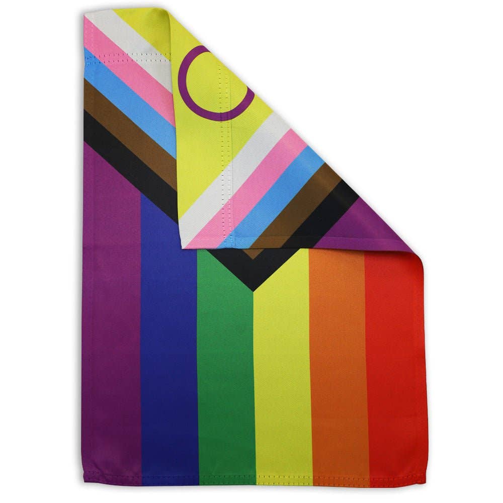 LGBTQ Inclusive Progress Pride Garden Flag 12x18in lgbtq-inclusive-progress-pride-garden-flag-12x18in-back