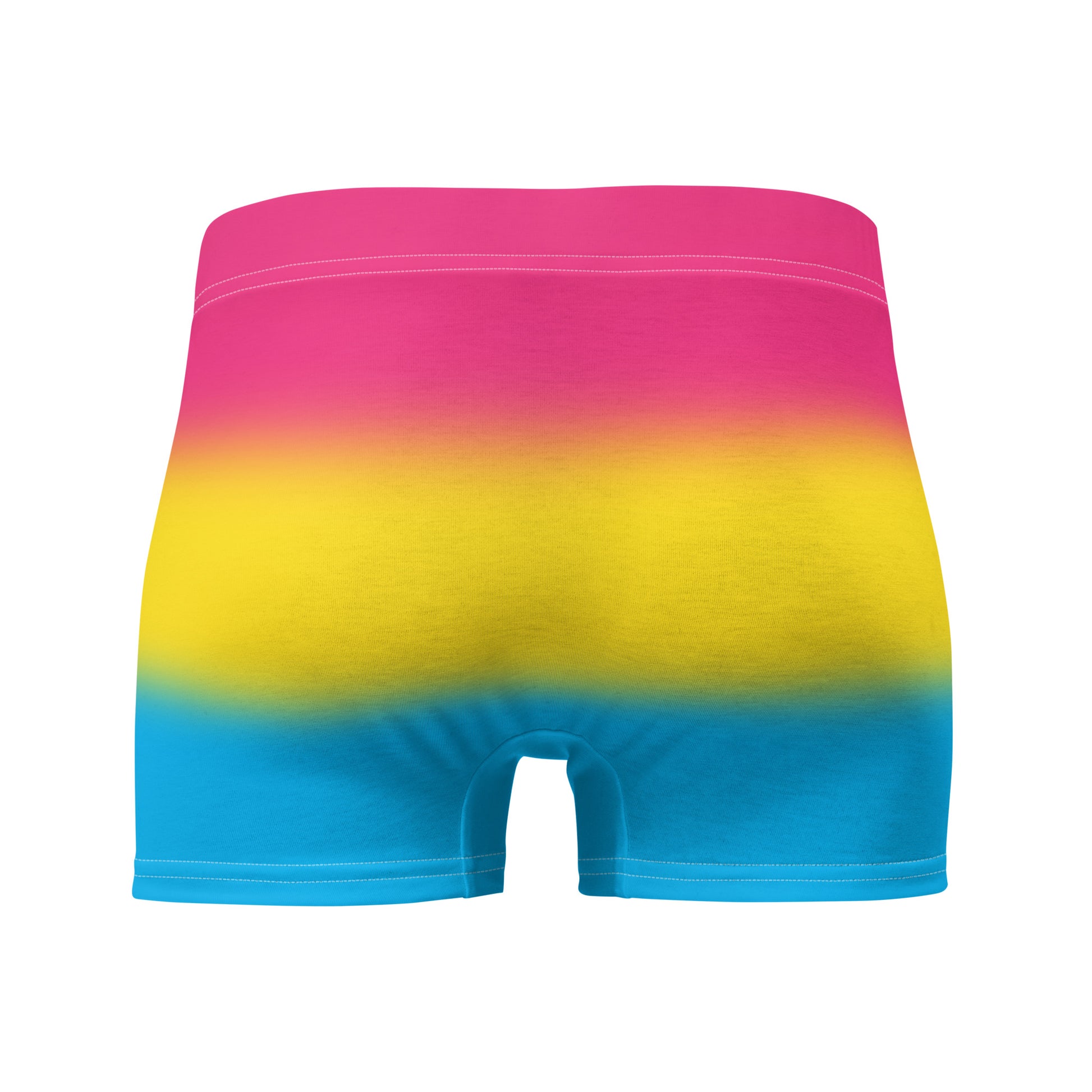 Pansexual Pan Pride Mens Boxer Briefs Underwear pansexual-pan-pride-mens-boxer-briefs-underwear-back