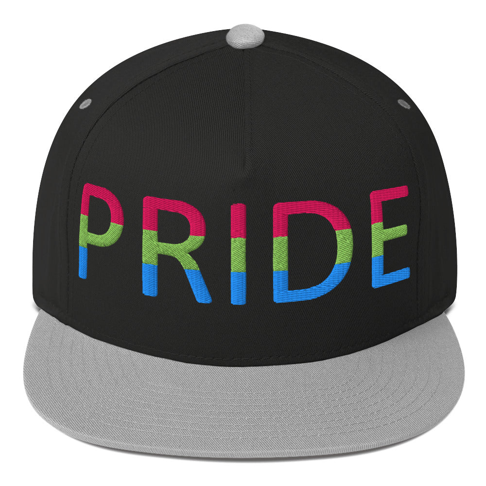 Polysexual Poly Pride Embroidered Snapback Baseball Cap Black Grey Polysexual polysexual-poly-pride-embroidered-snapback-baseball-cap-black-grey-front