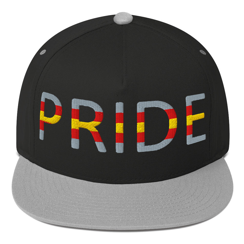 Proculsexual Pride Embroidered Snapback Baseball Cap Black Grey Proculsexual proculsexual-pride-embroidered-snapback-baseball-cap-black-grey-front