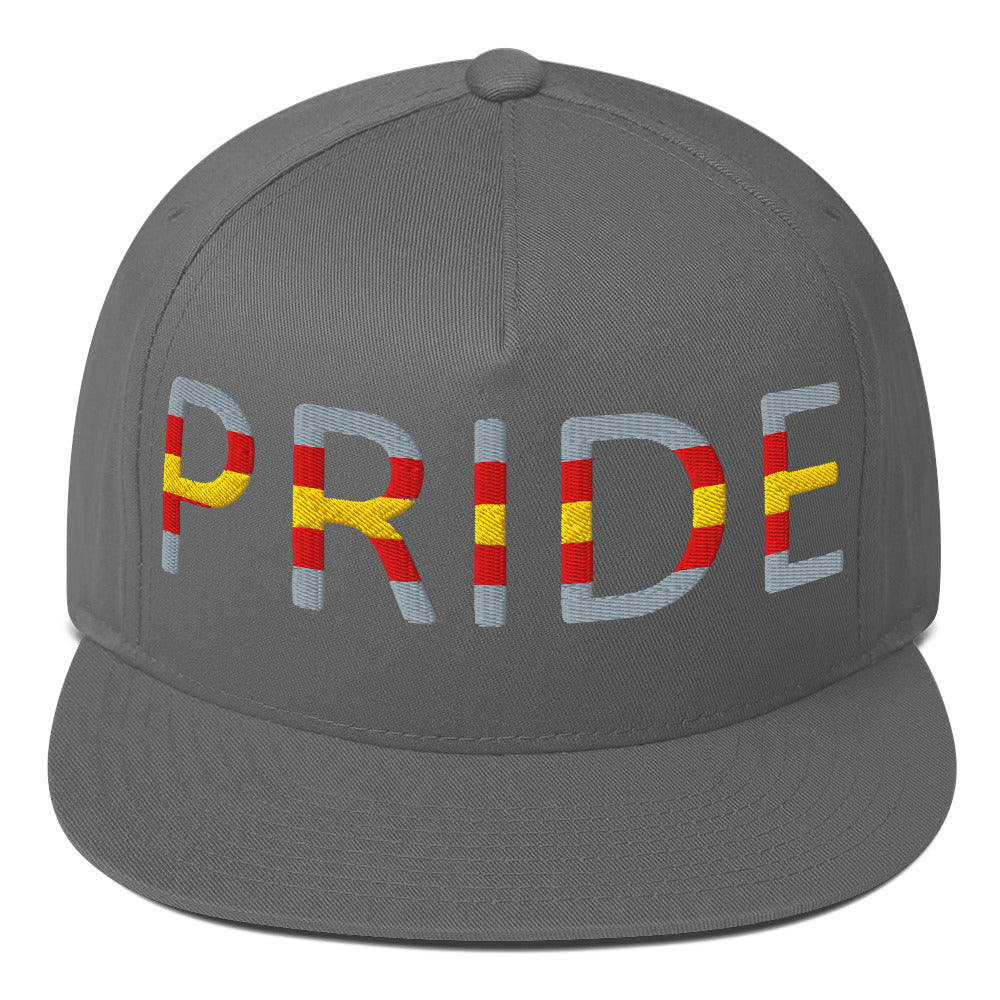 Proculsexual Pride Embroidered Snapback Baseball Cap Grey Proculsexual proculsexual-pride-embroidered-snapback-baseball-cap-grey-front