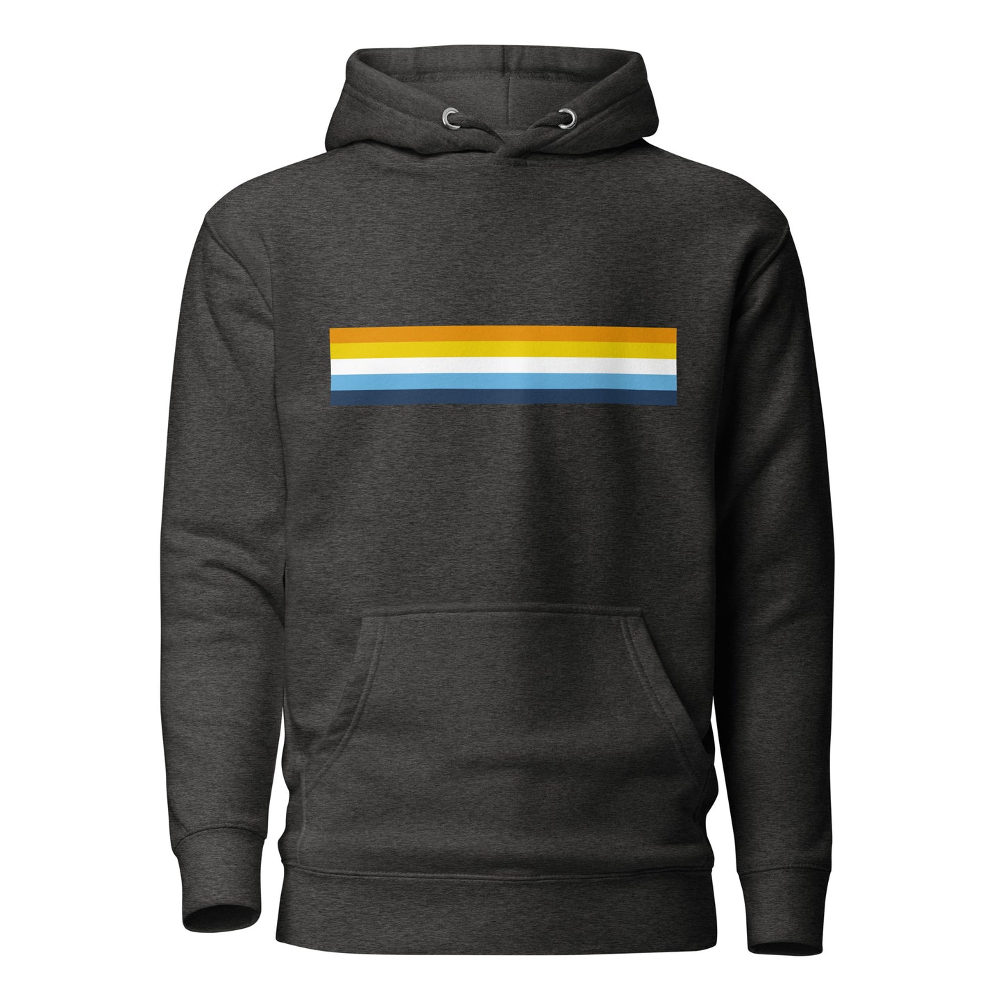 Aroace Pride Flag Hoodie Charcoal Heather Aroace unisex-premium-hoodie-charcoal-heather-front-6529dc4e69180