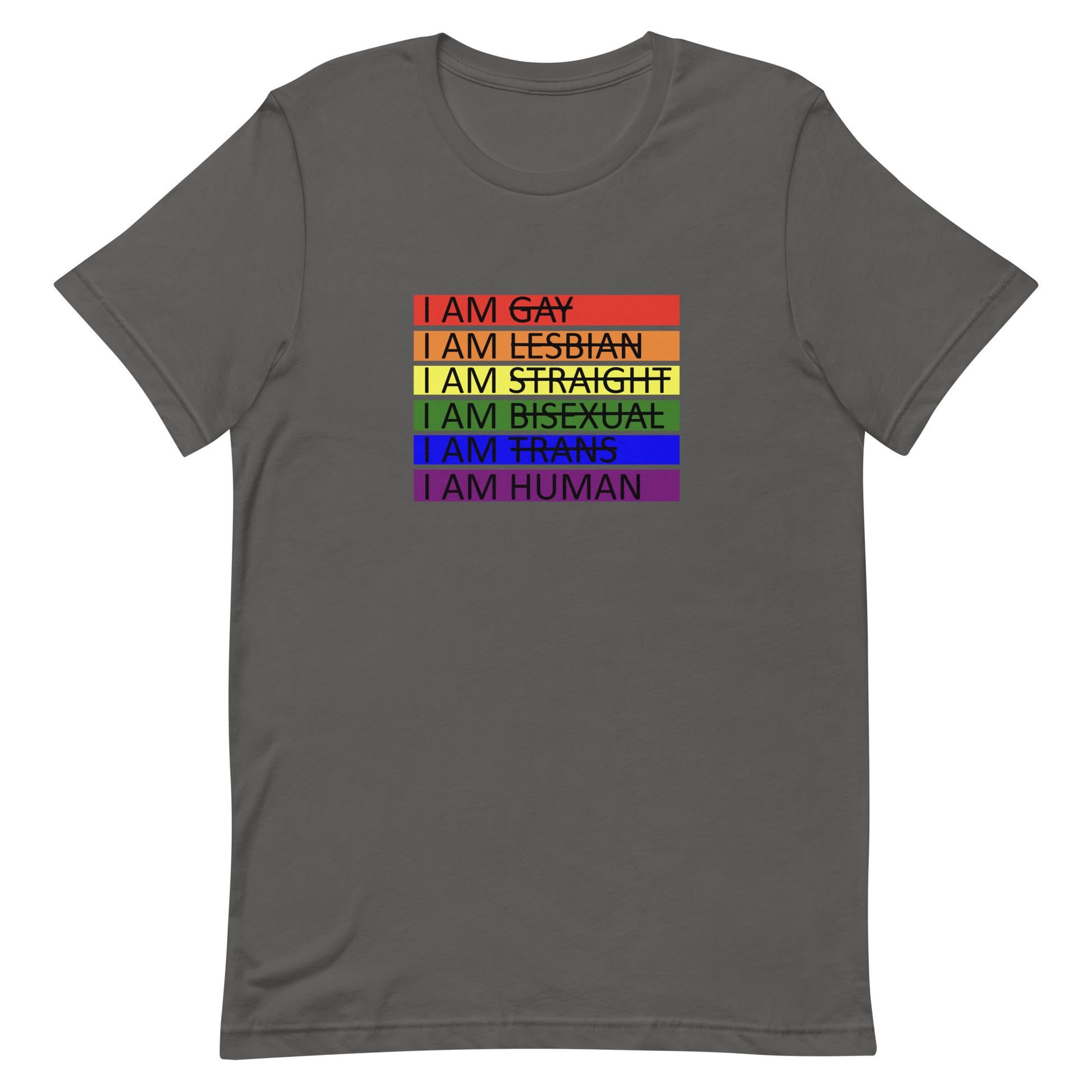 LGBTQ Pride I Am Human T-shirt Asphalt Pride unisex-staple-t-shirt-asphalt-front-655d65fc799f0