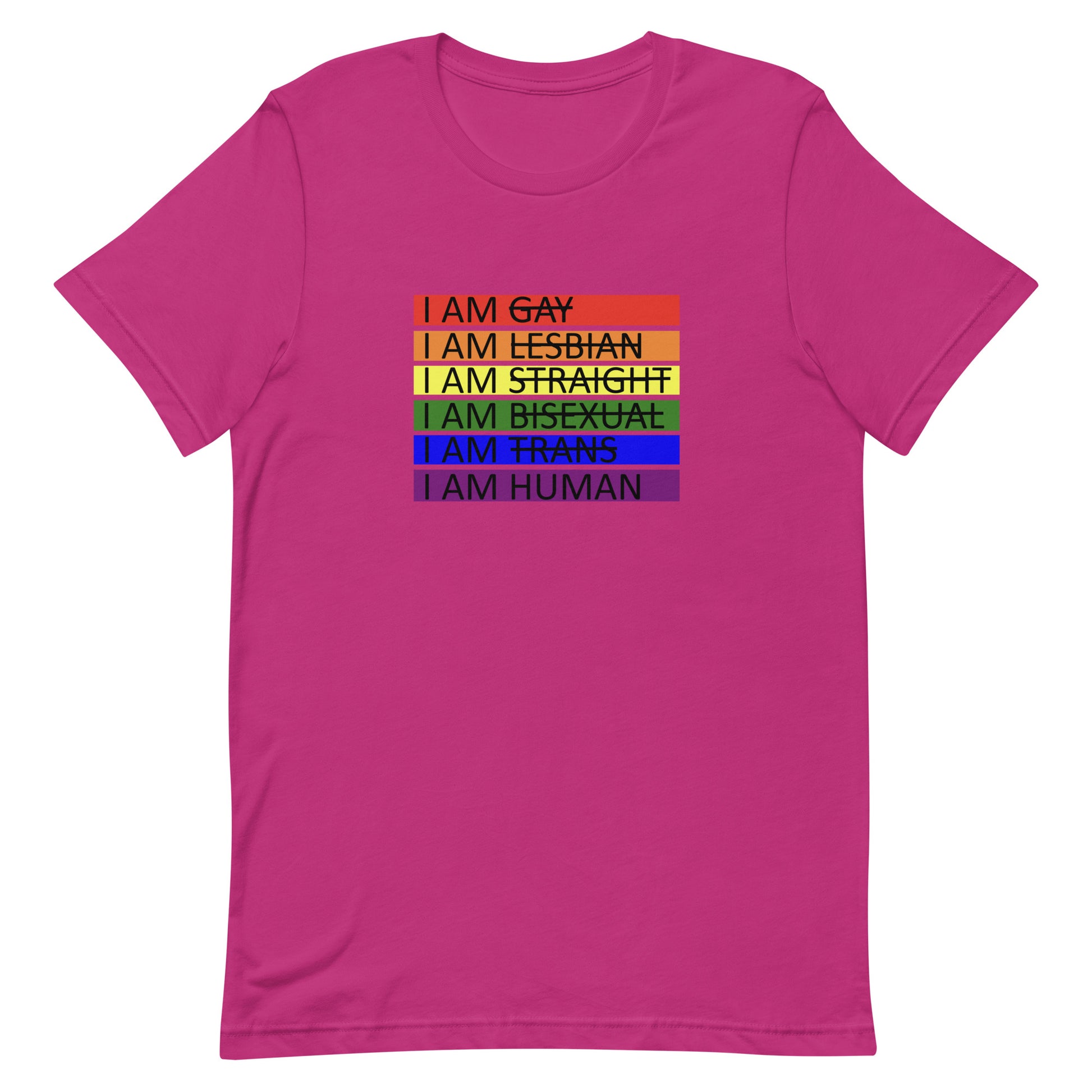 LGBTQ Pride I Am Human T-shirt Berry Pride unisex-staple-t-shirt-berry-front-655d65fc78781