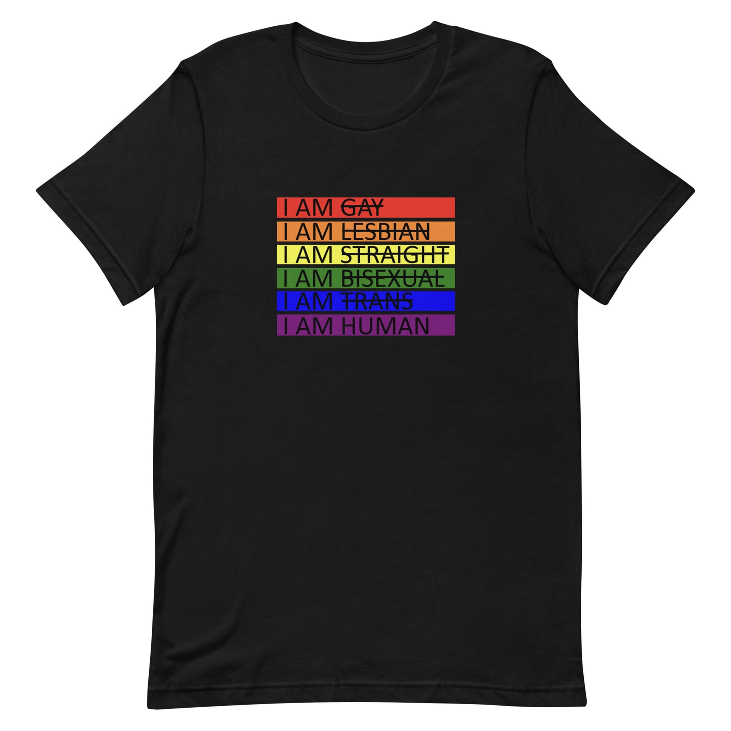 LGBTQ Pride I Am Human T-shirt Black Pride unisex-staple-t-shirt-black-front-655d65fc77493