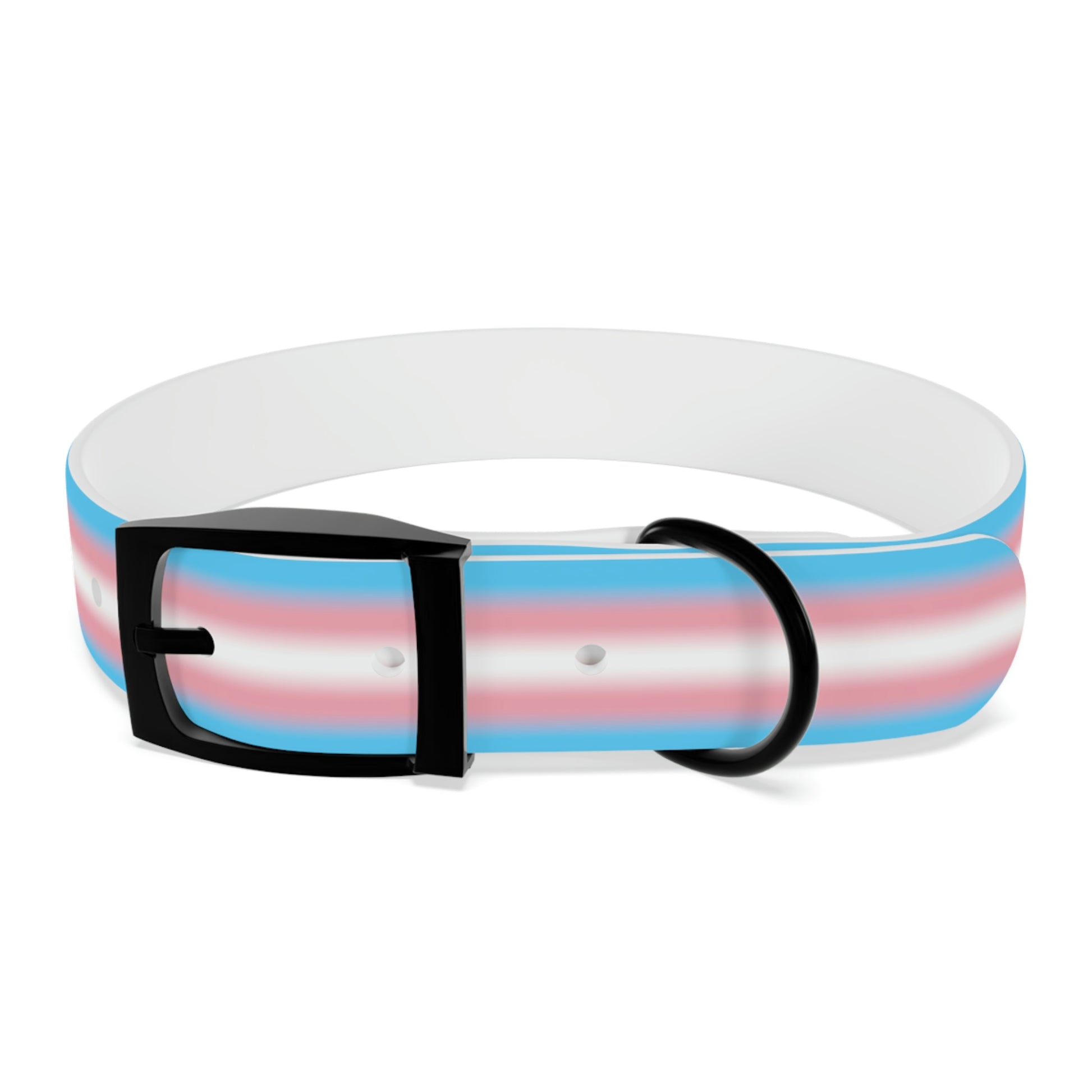 Transgender Trans Pride Dog Collar M Black Onyx Transgender 01f2bf5d3787accc8906984e152cdc7b