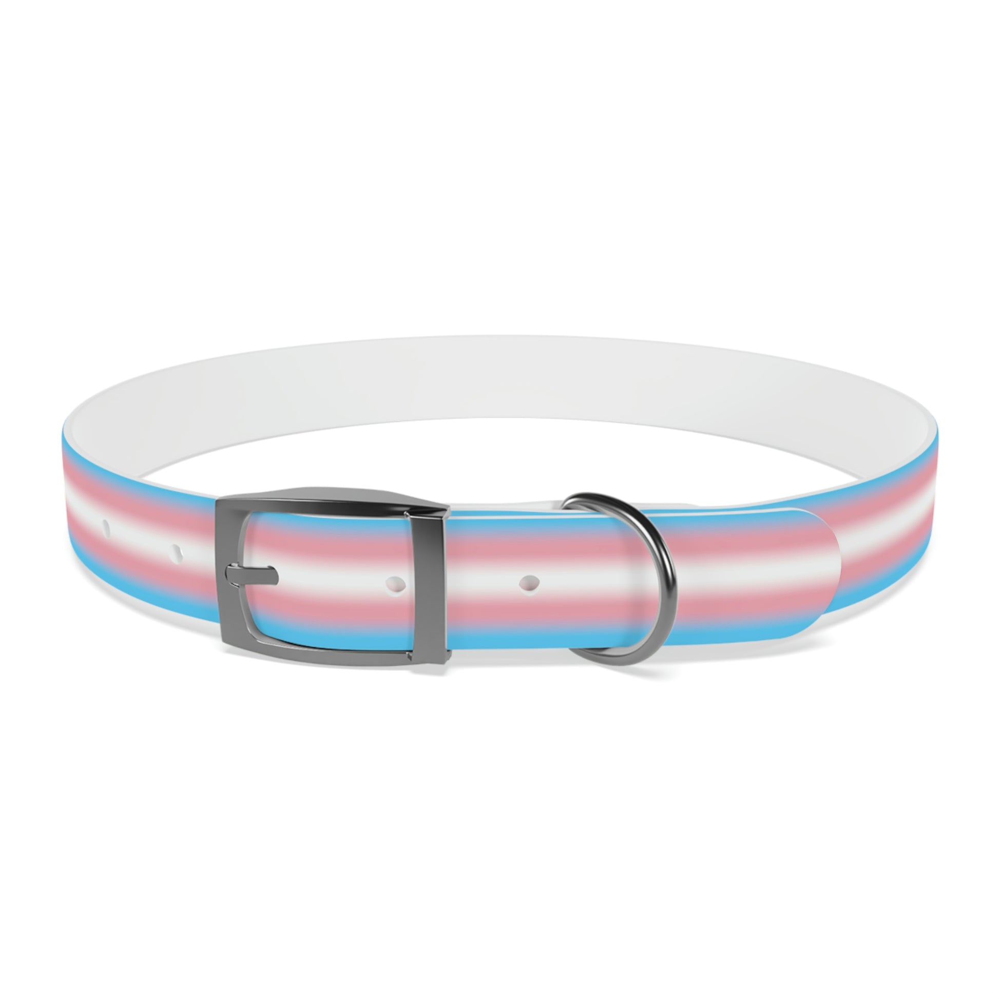 Transgender Trans Pride Dog Collar XL Gun Metal Transgender 2a5457f1bb386dc40be64dd70a7285bf