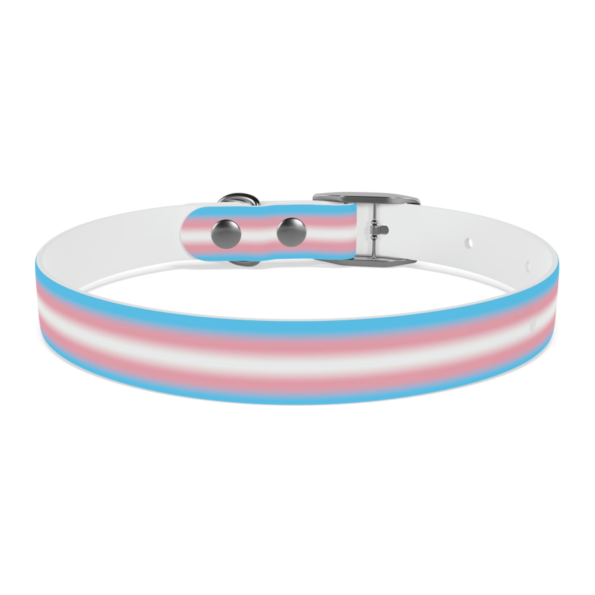 Transgender Trans Pride Dog Collar 37282a0df56e4d0ae36e4aa4fe893e8e