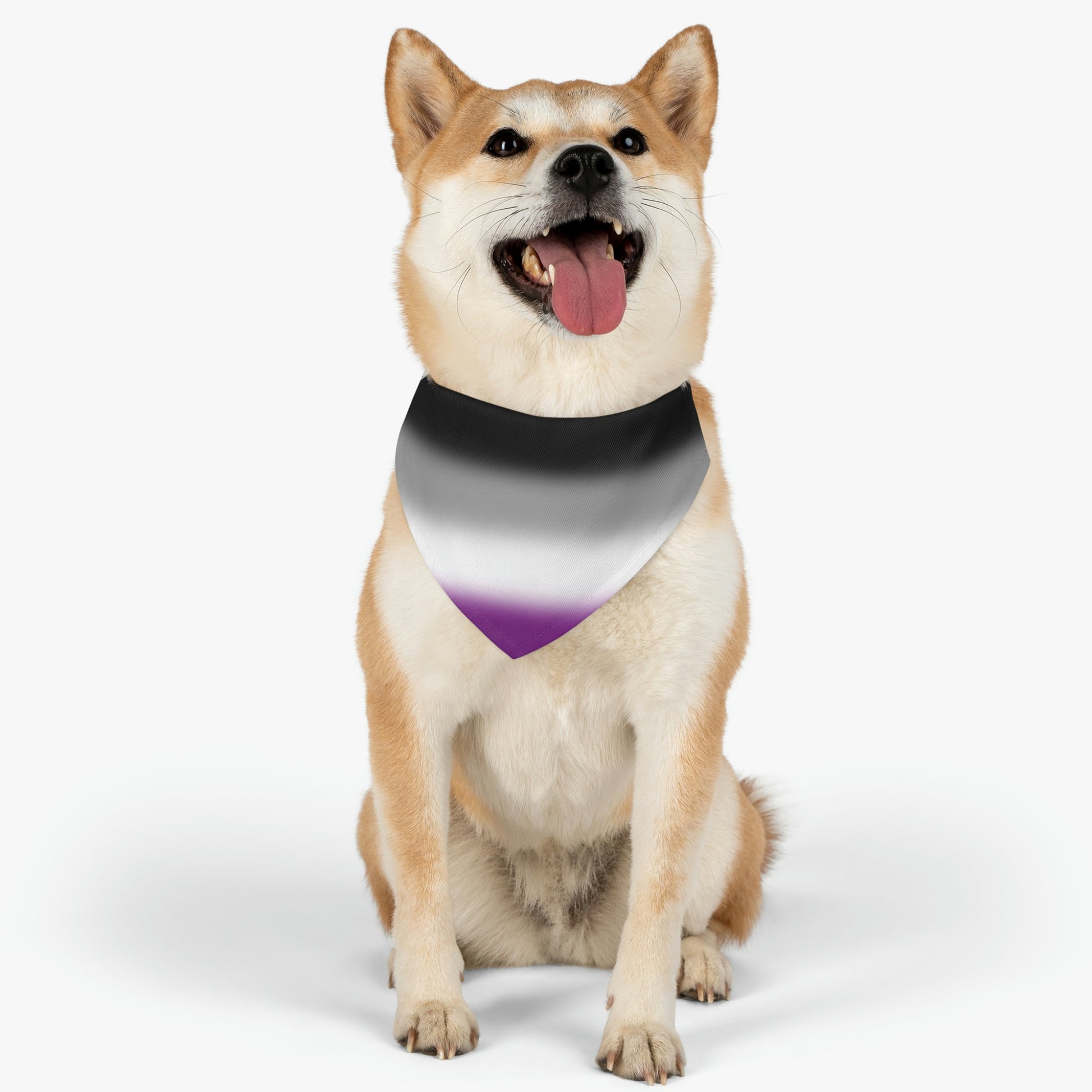 Asexual Ace Pride Pet Bandana with Collar 4b6ff08122d325d75d130516f335ea8c